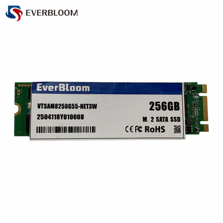 SATA3 M 2 SSD manufacturers